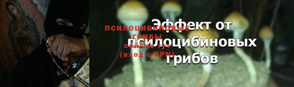 круглые Алексеевка